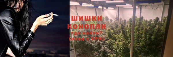 мдпв Волоколамск