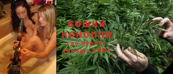 прущие крисы Аркадак