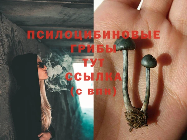 трава Арсеньев