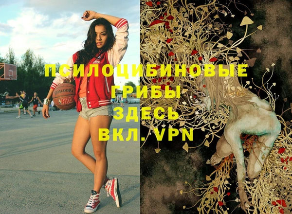 трава Арсеньев