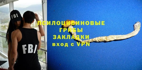 трава Арсеньев