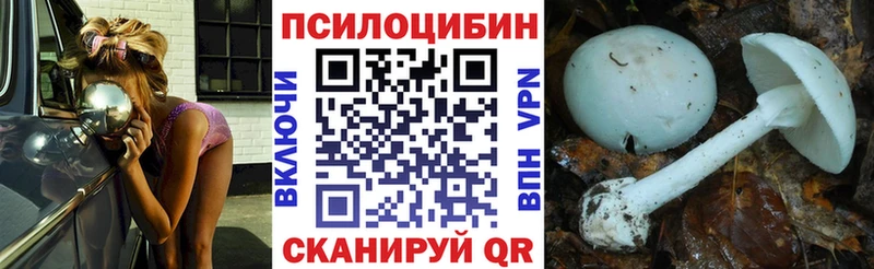 Псилоцибиновые грибы мицелий  где можно купить наркотик  Полесск 